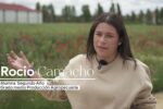 Proyecto WOOL-TECH: Innovación y emprendimiento real en la Formación Profesional